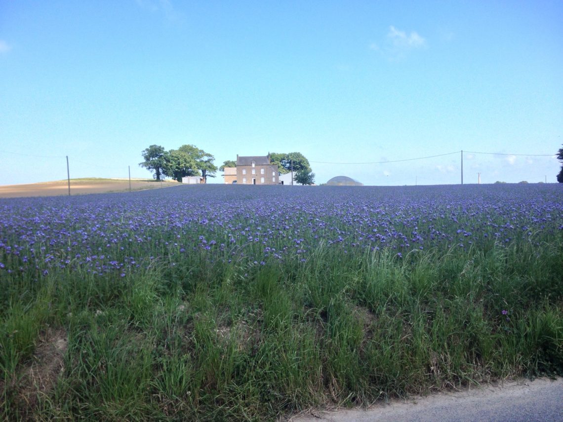 Trip Day 3 (Bike day 1)  – Perfect Day?  St. Malo to Mont St. Michel